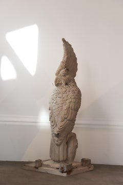 French Cockatoo Sculpture in Plaster