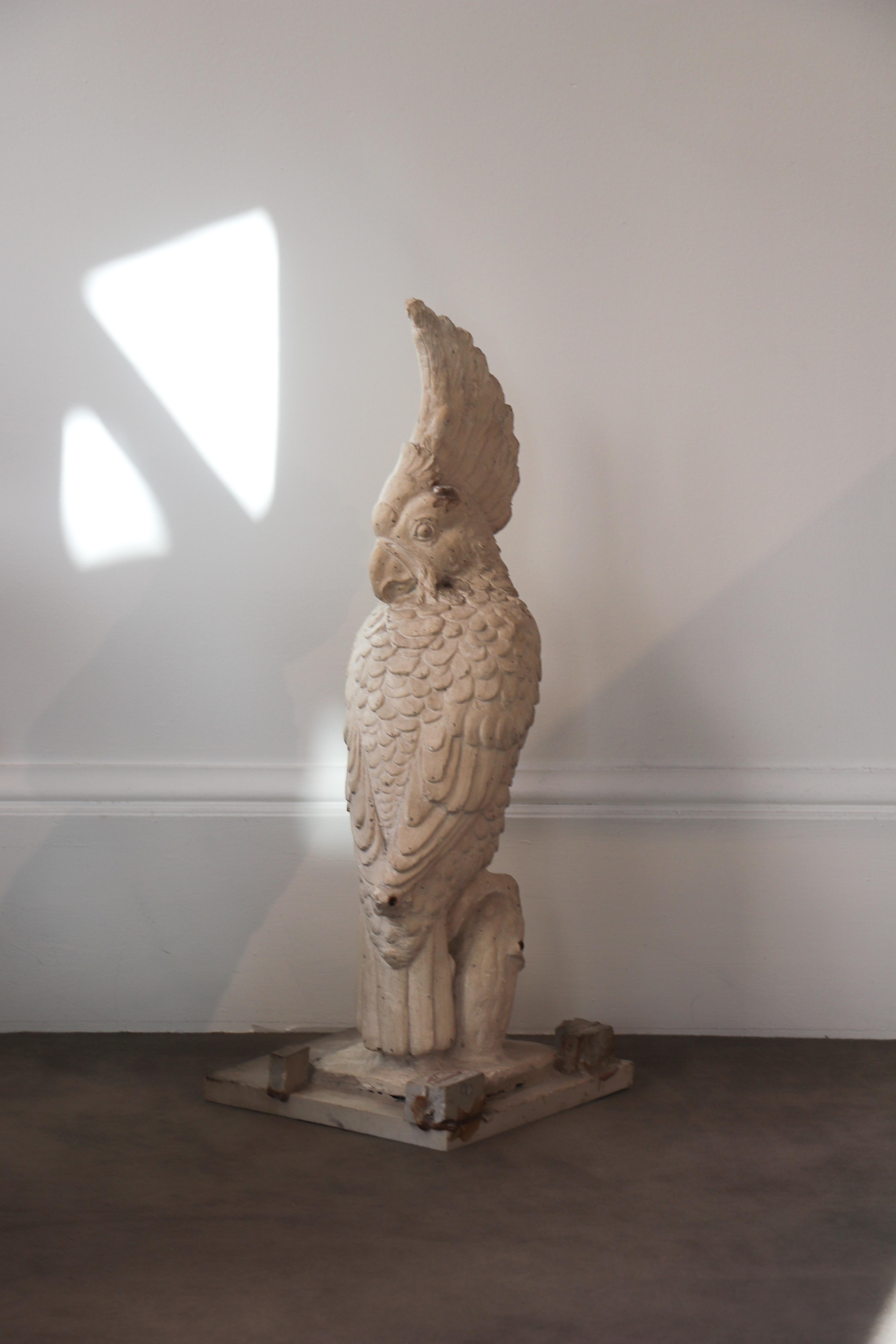 Escultura de Cacatúa Francesa en escayola en Excelente estado para la venta en PARIS, FR