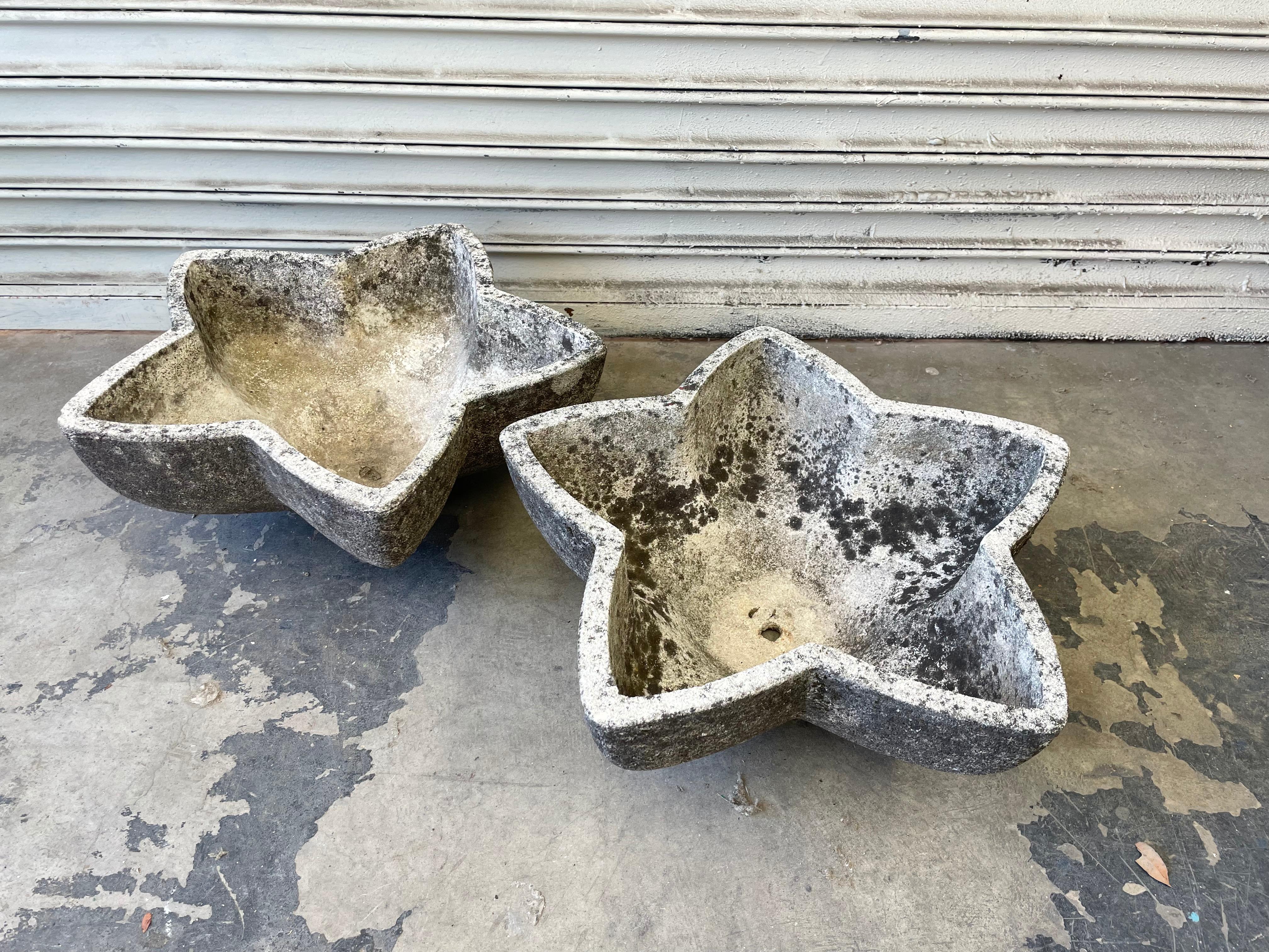 French Concrete Star Planter 1