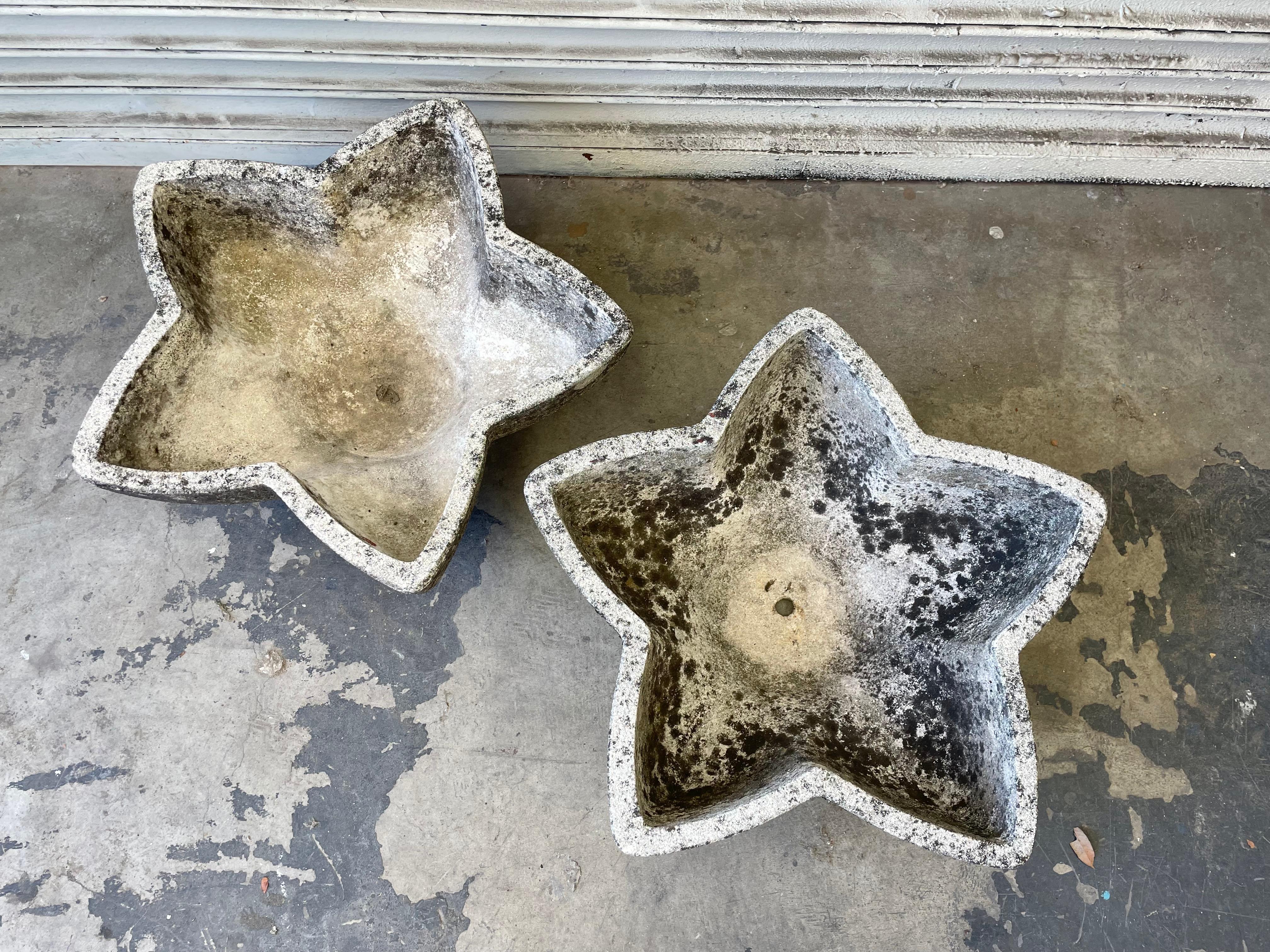 French Concrete Star Planter 2