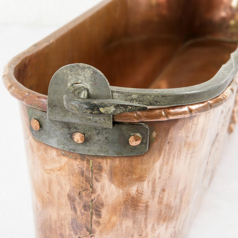 French Copper Repousse Fish Pot or Planter with Grapes and Fleur-de-Lys ...
