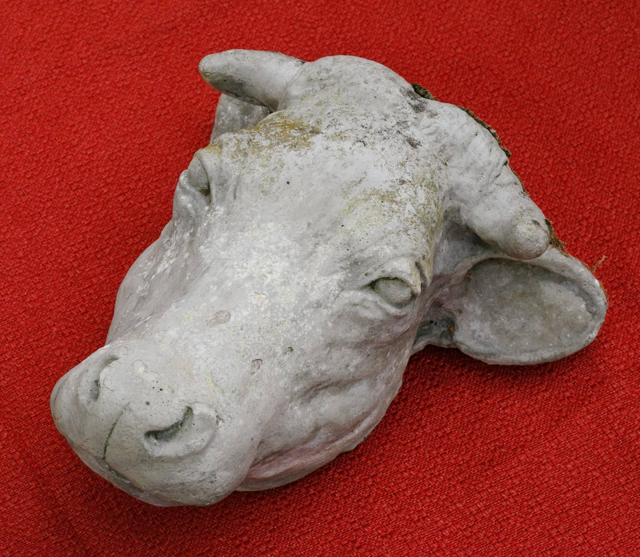 This charming cast concrete sculpture of a cow head came from outside of a butcher shop. It has the patina of being used outside.
It would look nice in a kitchen. Suitable for country, farm or a kitchen in the city.

 