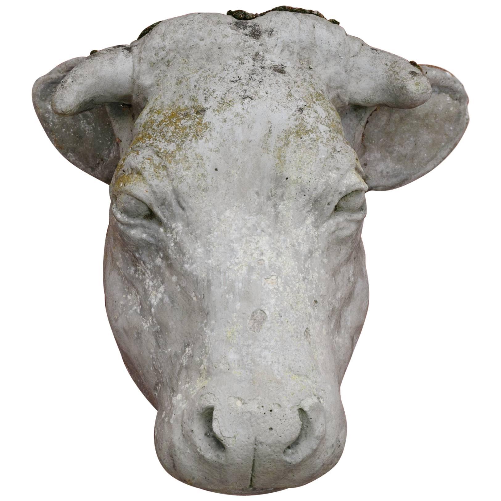 French Cow Head Sculpture from Outside of Butcher Shop