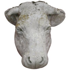 Vintage French Cow Head Sculpture from Outside of Butcher Shop