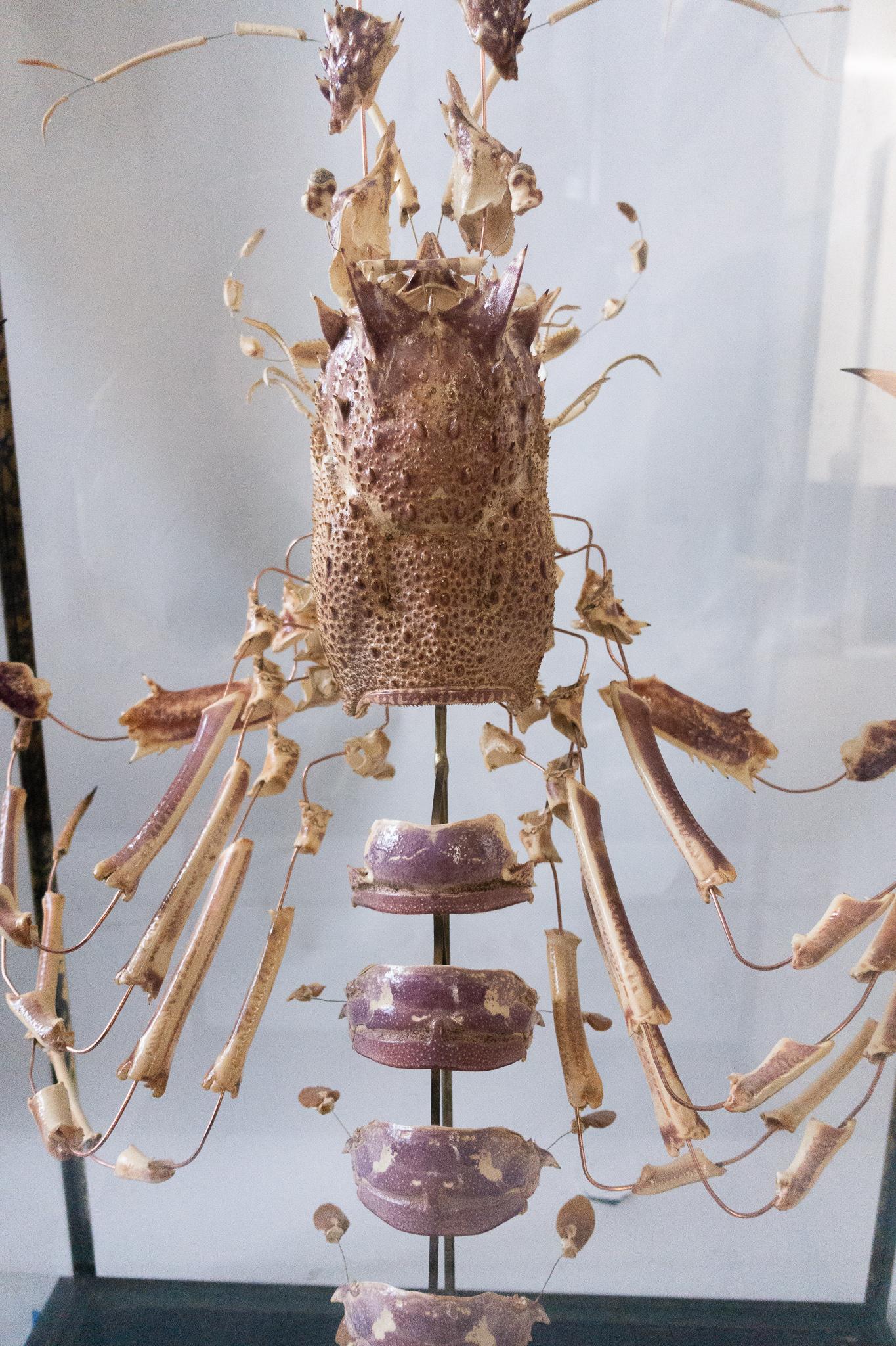 Patinated French Deconstructed Clawed Lobster Sculpture in Glass Case