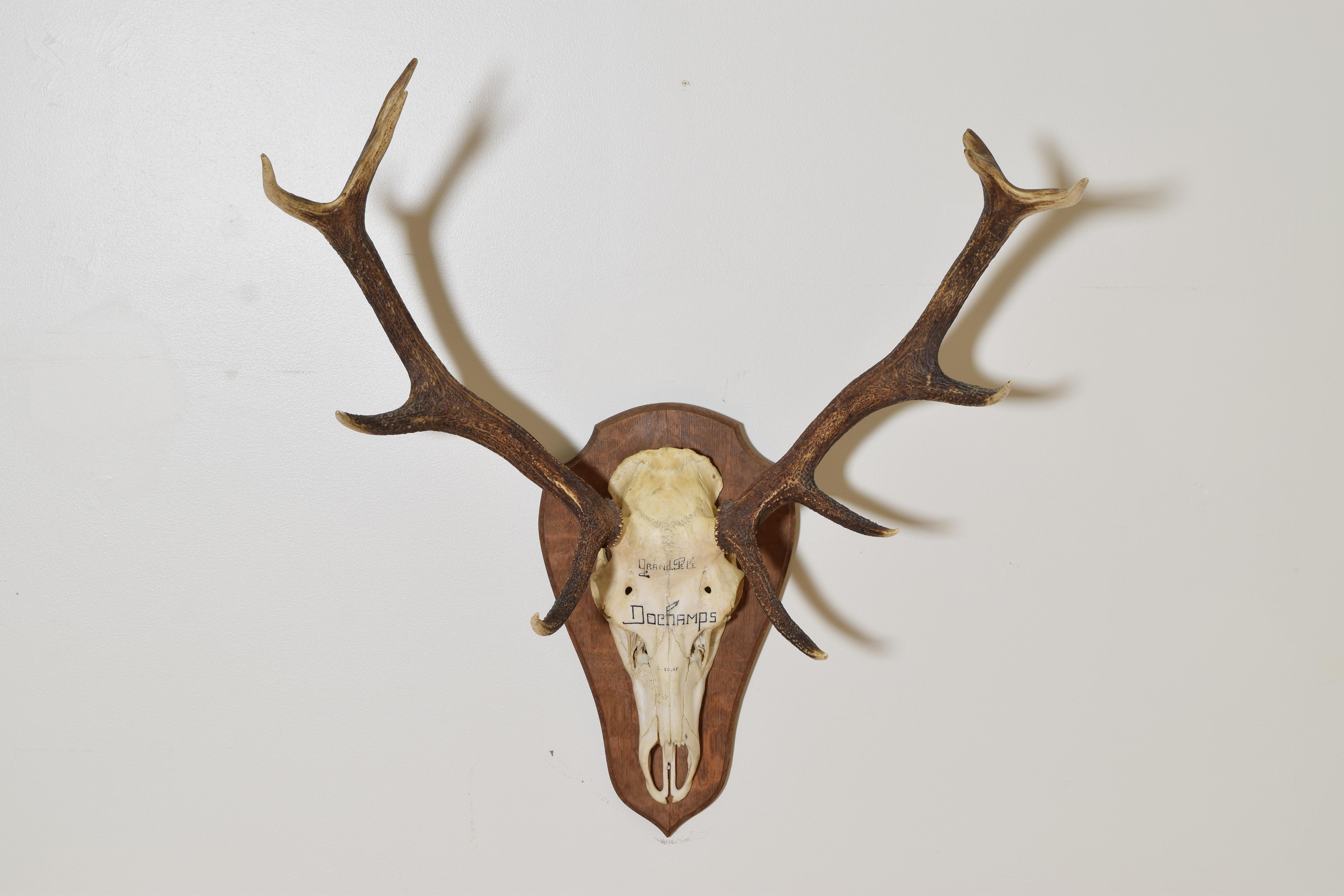 the antlers and partial skull mounted on a shield-form backplate, the skull marked 