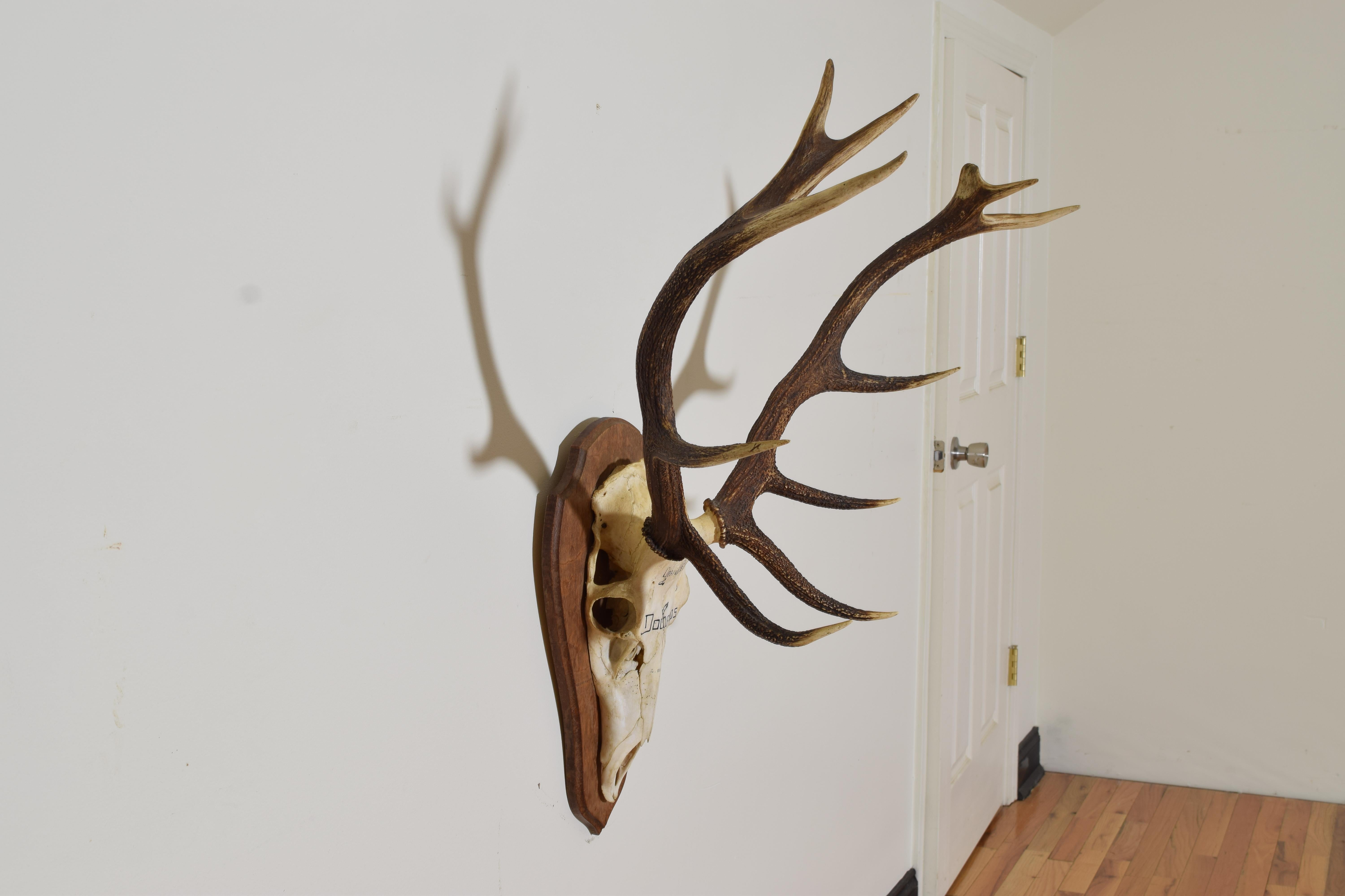 french mount deer