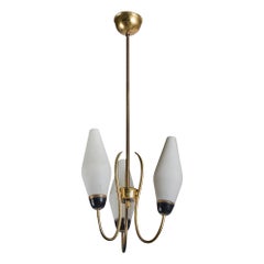 French Designer, Chandelier, Brass, Glass, Metal, France, 1950s
