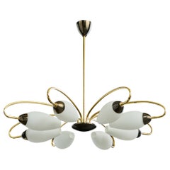 French Designer, Chandelier, Brass, Metal, Glass, France, 1950s