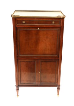 French Directoire Cocktail Cabinet Drinks Chest