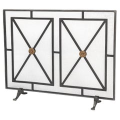 French Directoire Style Fireplace Screen