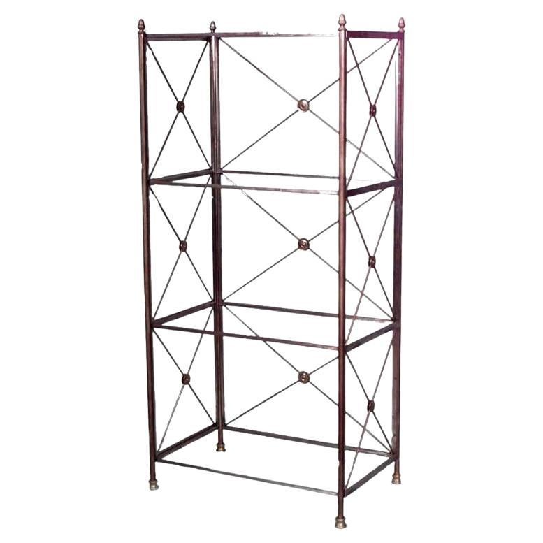 French Directoire Style Steel Bookcase For Sale