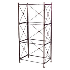 French Directoire Style Steel Bookcase