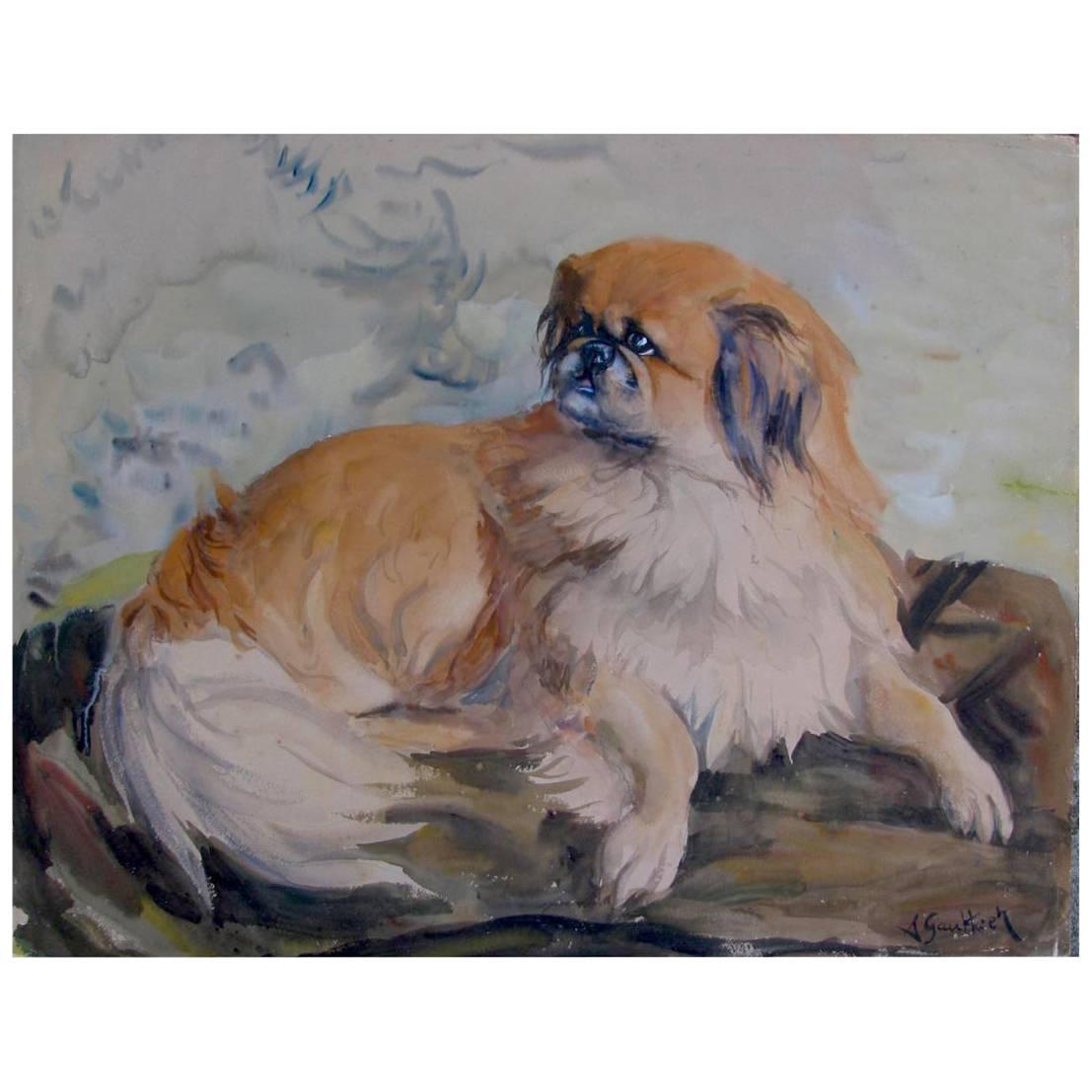 20th century portrait of Pekingese dog, a watercolor and tempera on paper painting, signed lower right by the French painter A.Gauthier and set in a modern gilt pinewood frame measuring 26 by 31,5 inches. 
The Pekingese dog, originated in China