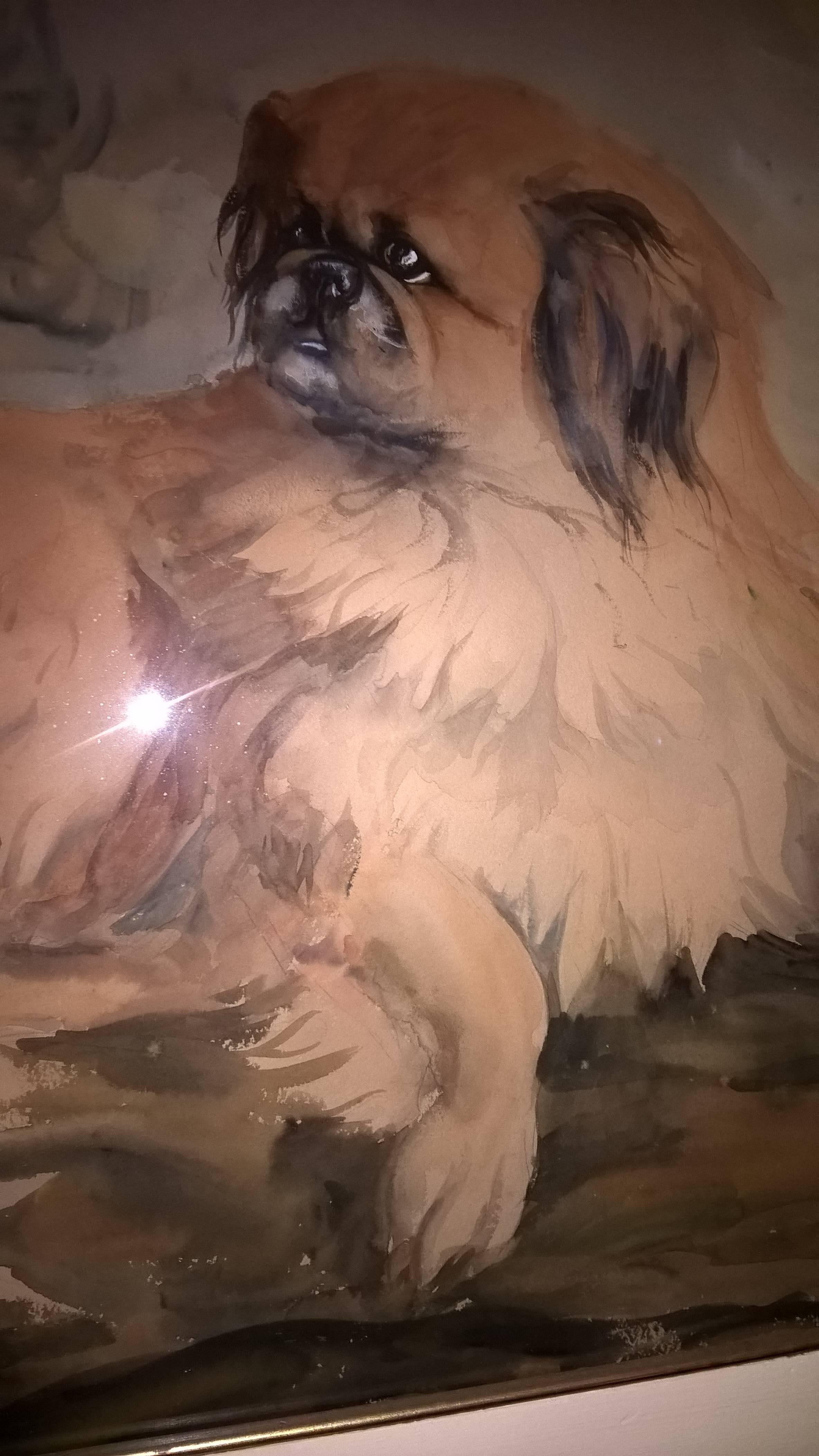 French Dog Painting 20th Century Pekingese Dog Portrait by A Gauthier In Good Condition In Milan, IT