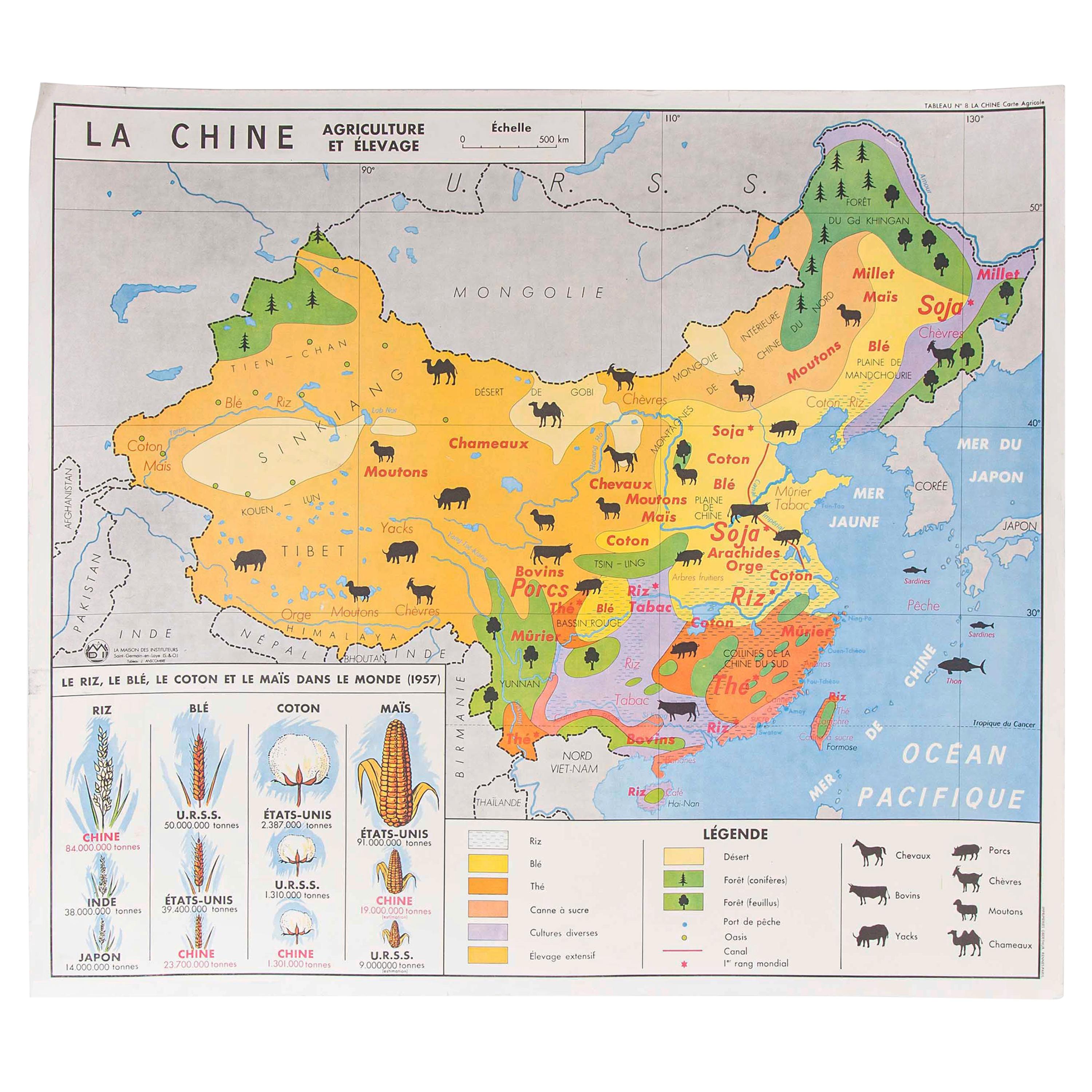 French Double Sided Educational School Poster of the Agriculture of China and US For Sale