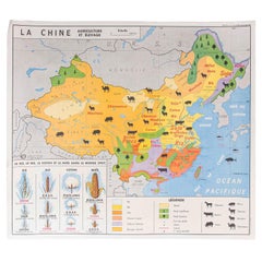 Vintage French Double Sided Educational School Poster of the Agriculture of China and US