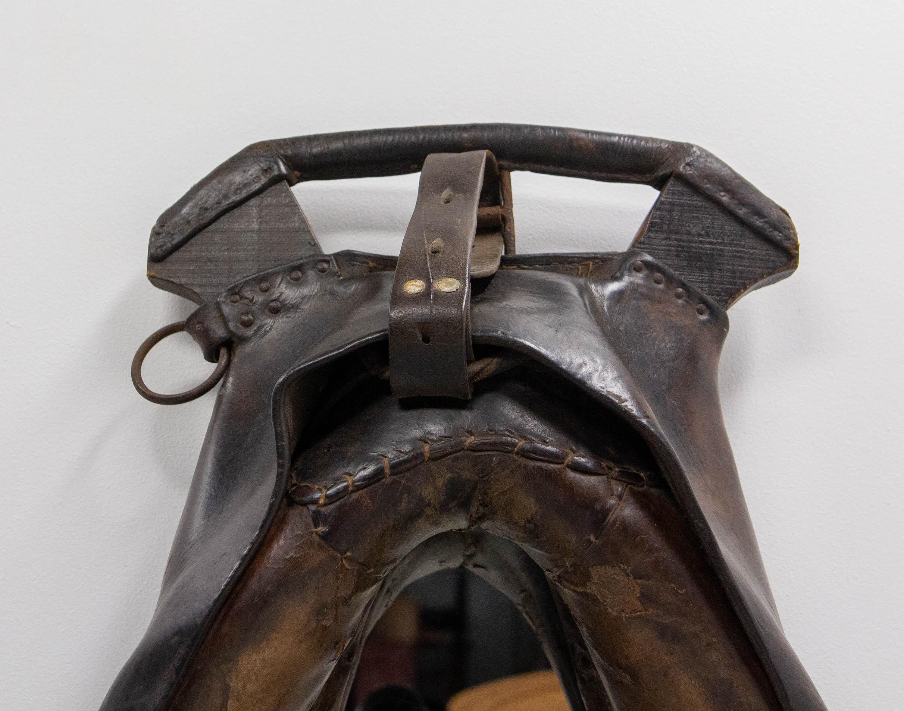 Espejo de cuello de yugo de caballo de tiro francés, finales del siglo XIX 3
