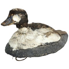 Vintage French Duck Decoy