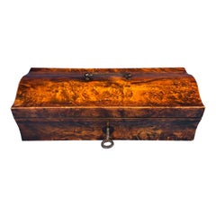 French Early 19th Century Burr Mulberry Box