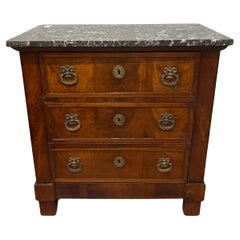 French Early 19th Century Chest
