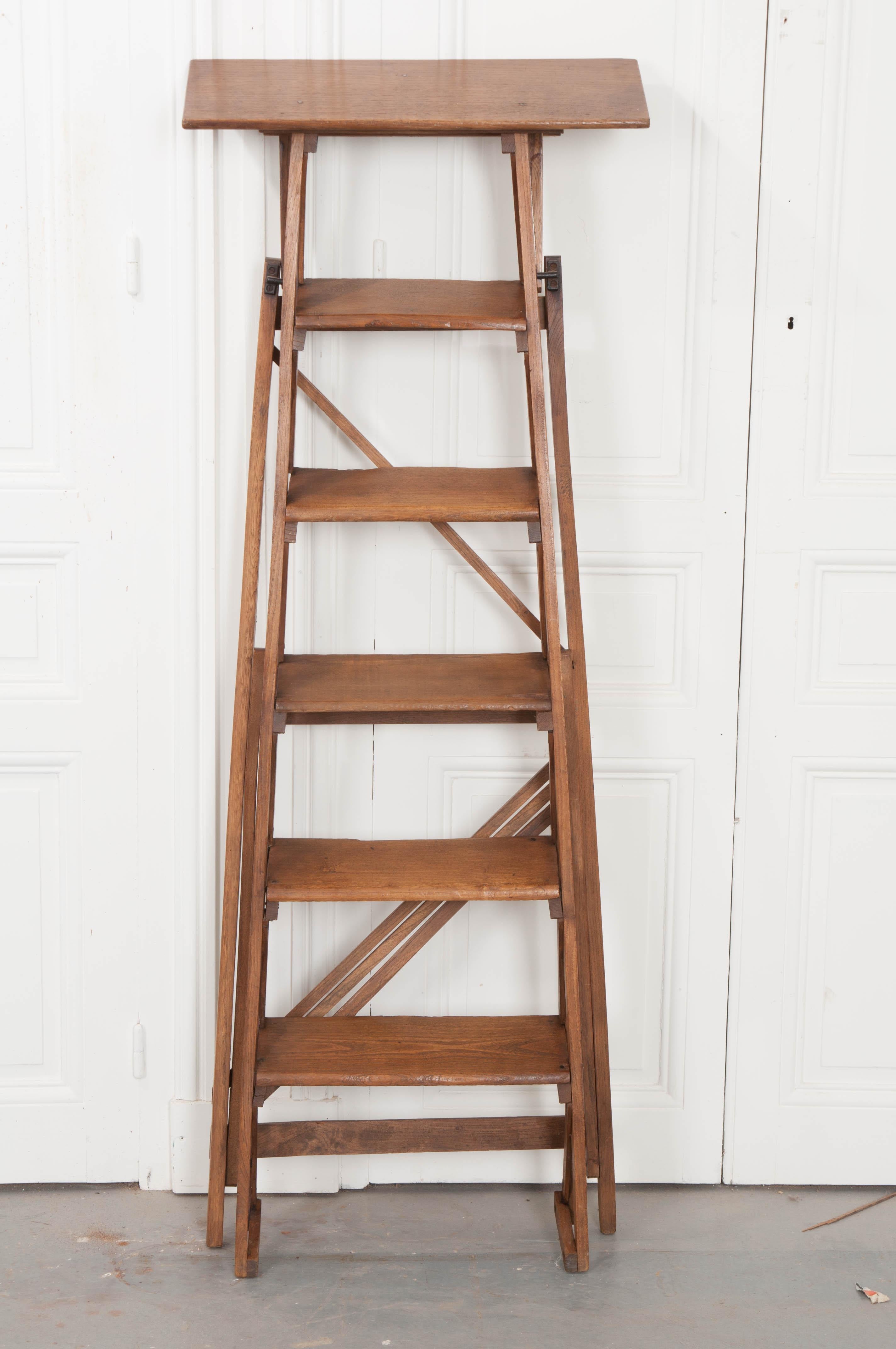 French Early 20th Century Oak Folding Ladder 8