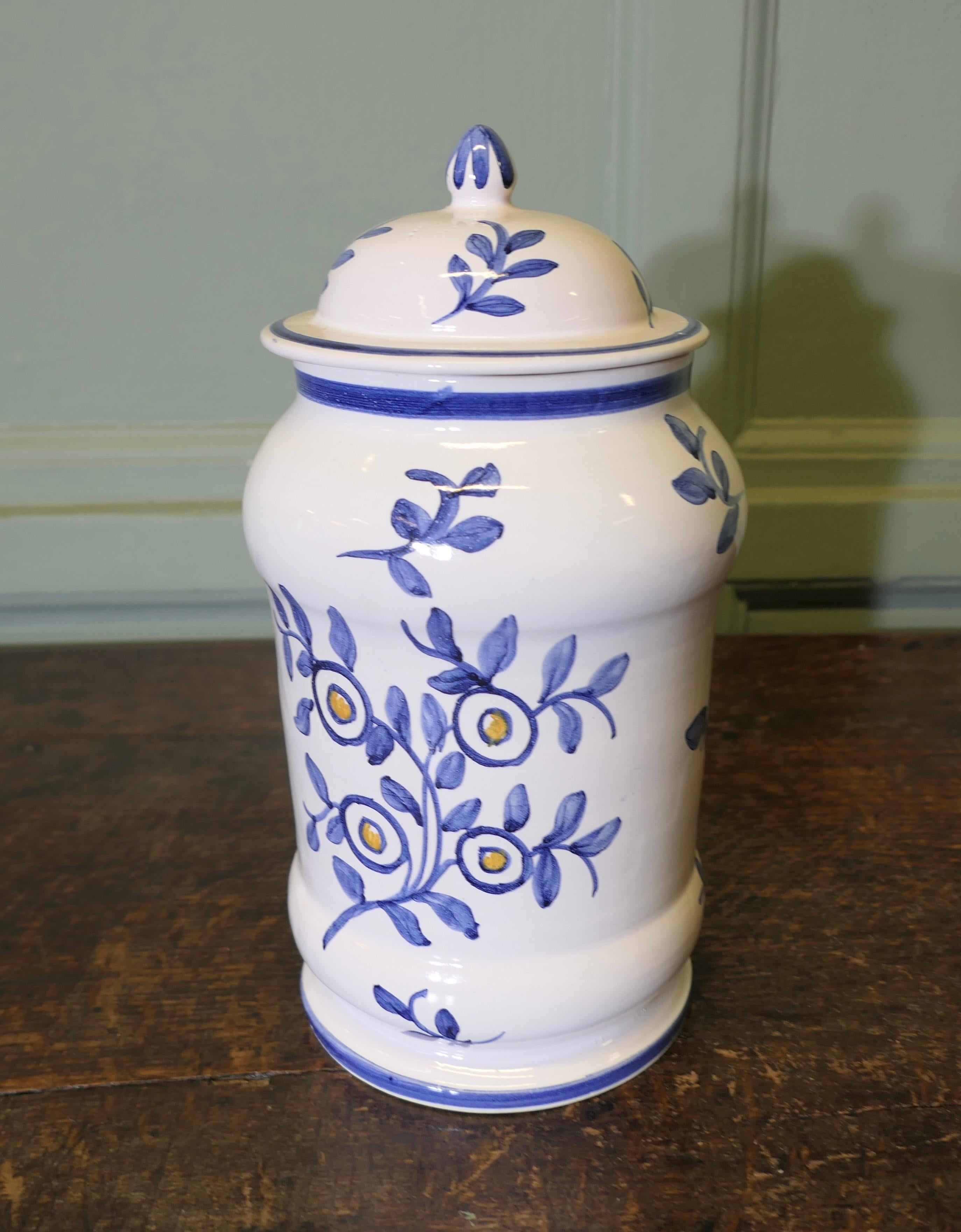 Metà XX secolo Vaso da farmacia in terracotta francese in vendita