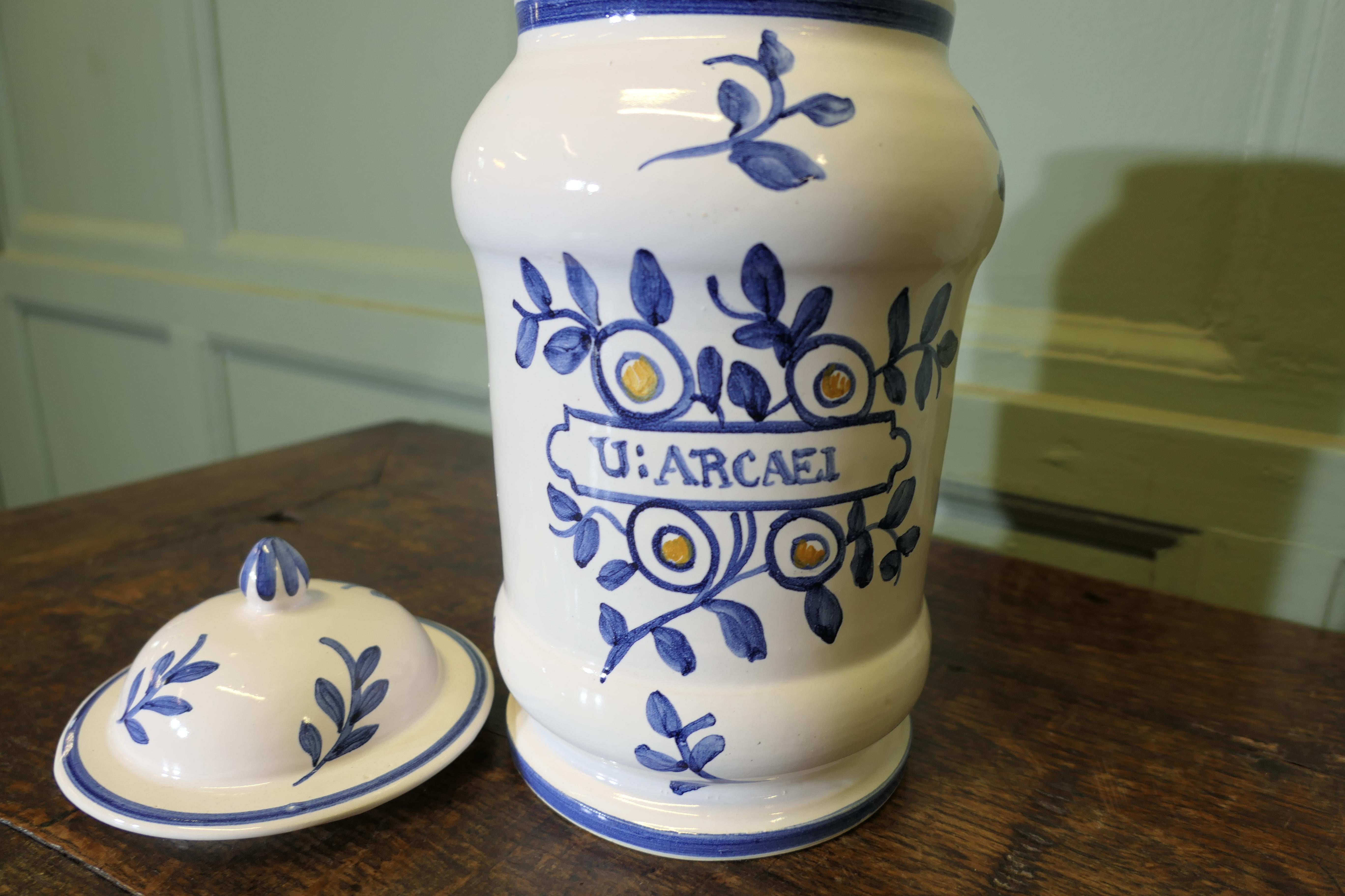 Vaso da farmacia in terracotta francese in vendita 1