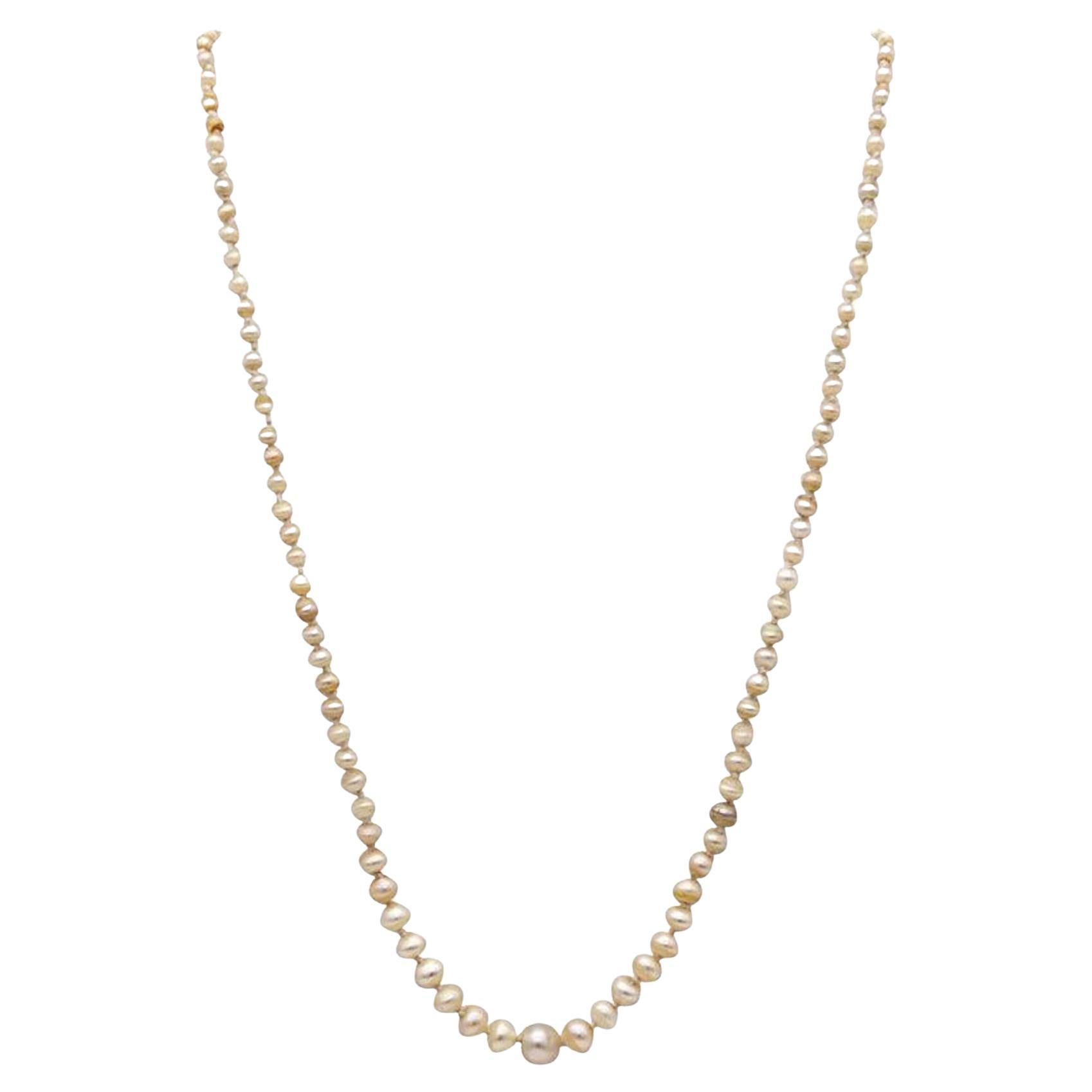 Collar Francés Eduardiano de Perlas Naturales en Oro de 18 Kt con Diamantes y Rubí