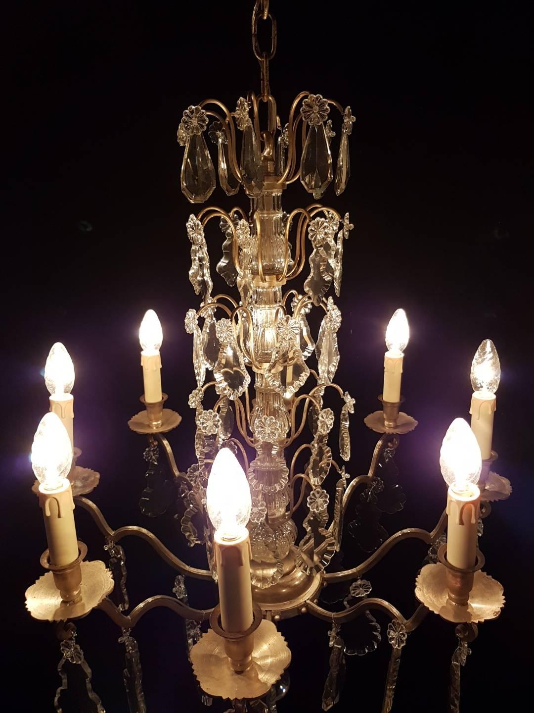 French Eight-Light Silver Colored Chandelier, Early 20th Century For Sale 13