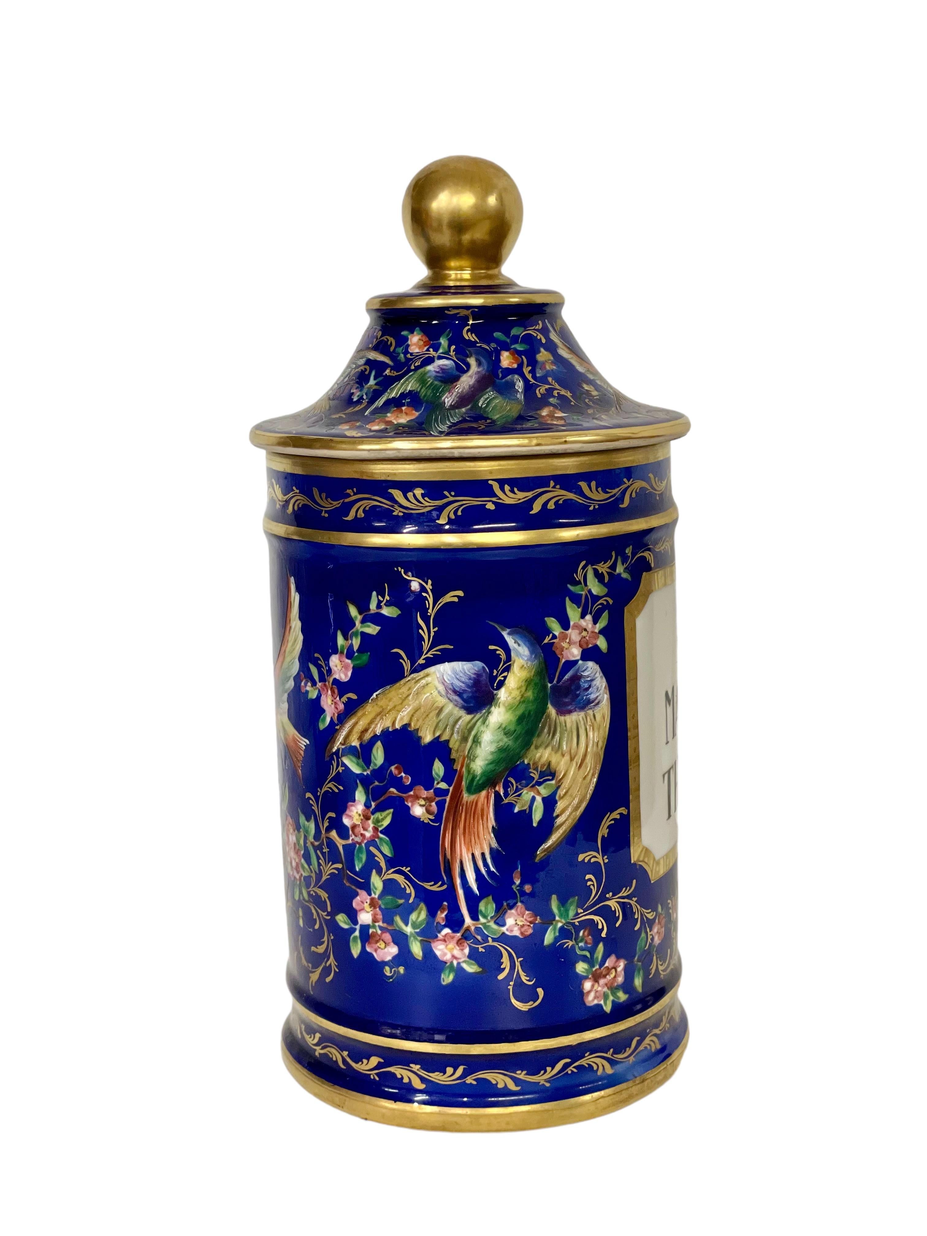 Magnifique pot d'apothicaire à couvercle en porcelaine d'époque Empire, datant du 19e siècle. Exubérément décoré d'un vibrant motif émaillé d'oiseaux et de papillons exotiques sur un fond bleu cobalt, il est généreusement rehaussé d'ornements dorés.