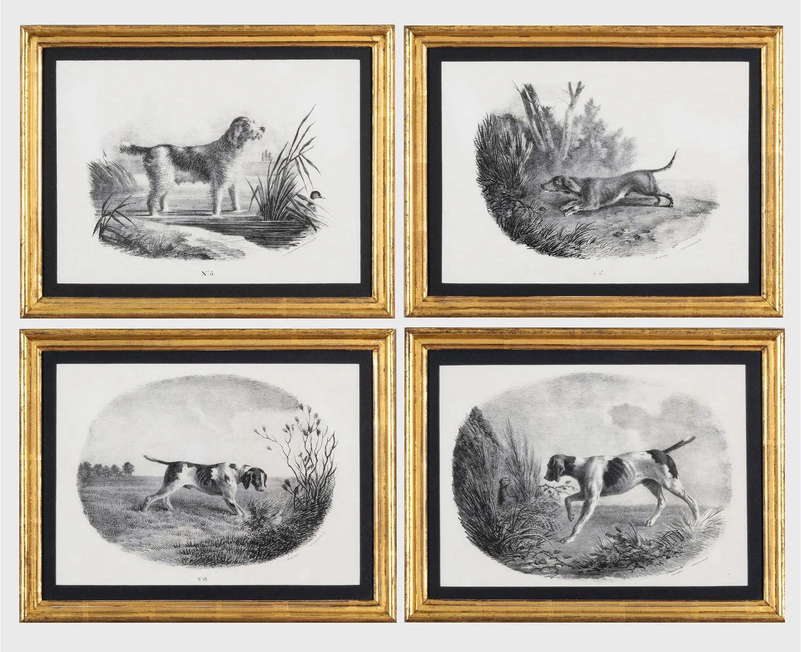 French Engravings of Hunting Dogs 7