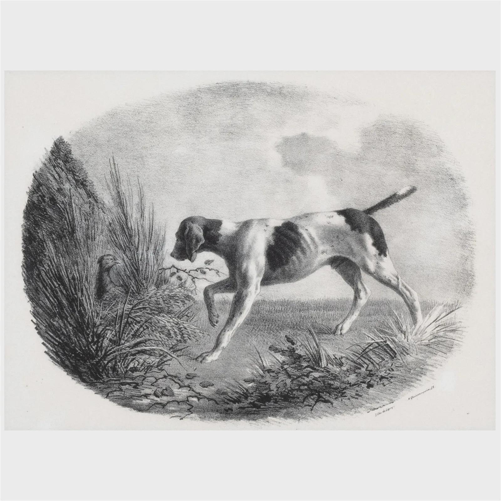 Romantic French Engravings of Hunting Dogs