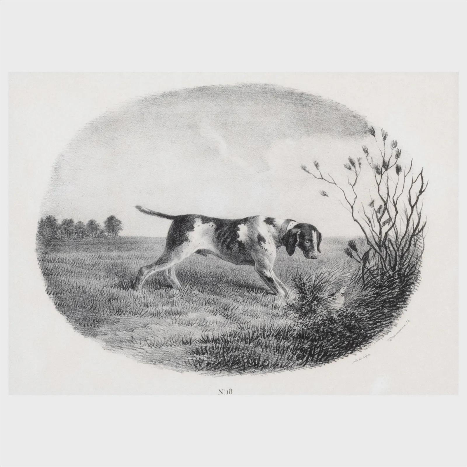 French Engravings of Hunting Dogs In Good Condition In Downingtown, PA