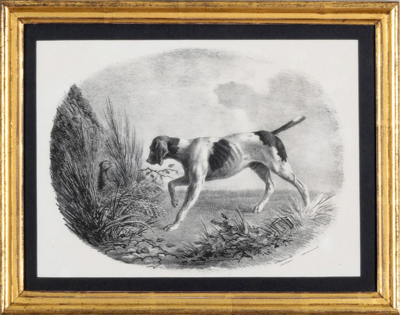 19th Century French Engravings of Hunting Dogs