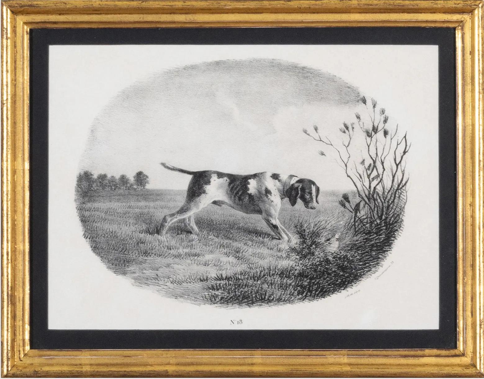 French Engravings of Hunting Dogs 1