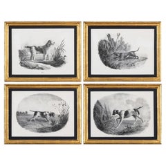 French Engravings of Hunting Dogs