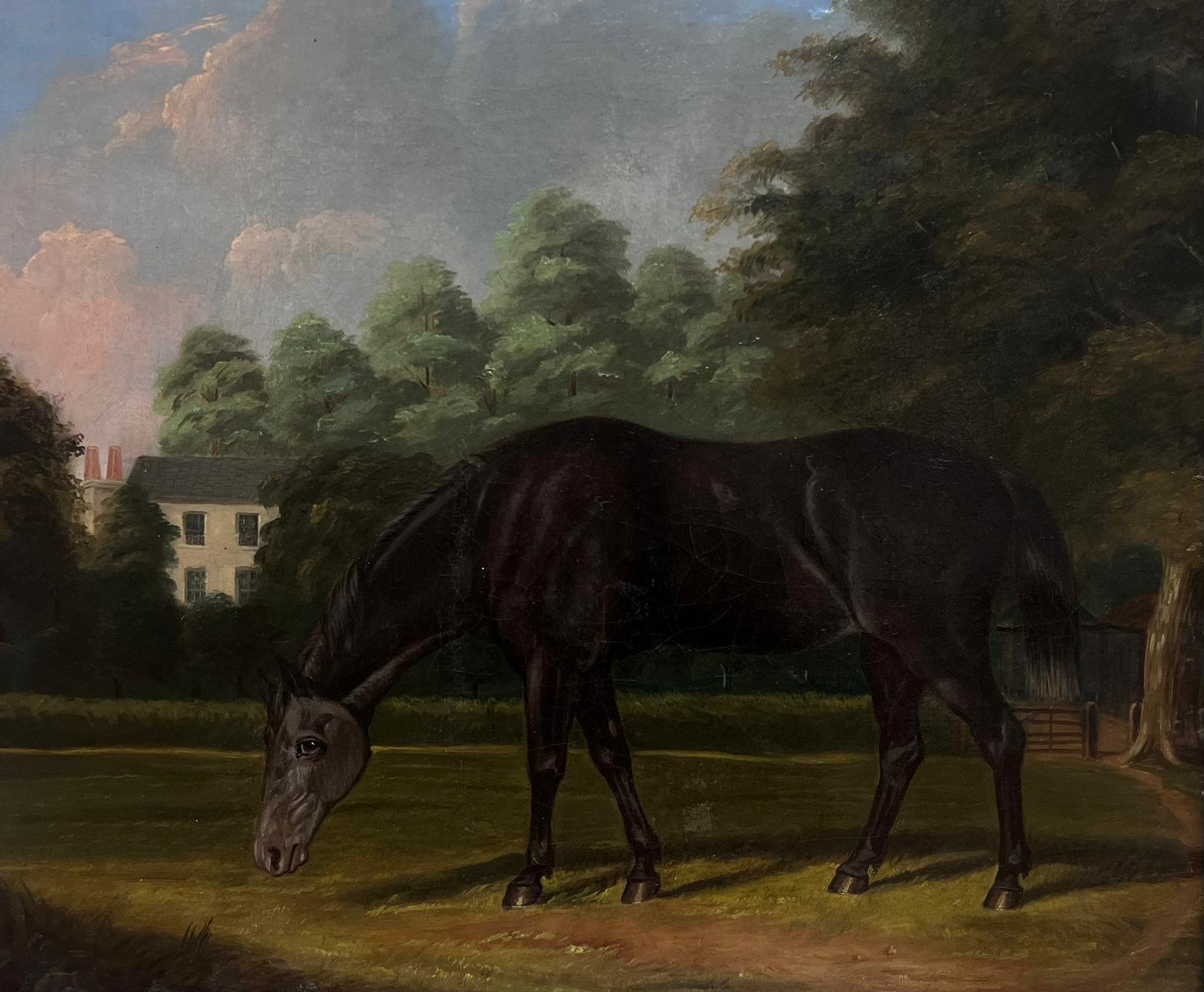 Antique French Oil Painting Horse in Country House & Garden Cornice in legno d'acero - Animal Painting Nero di French Equestrian 19th century