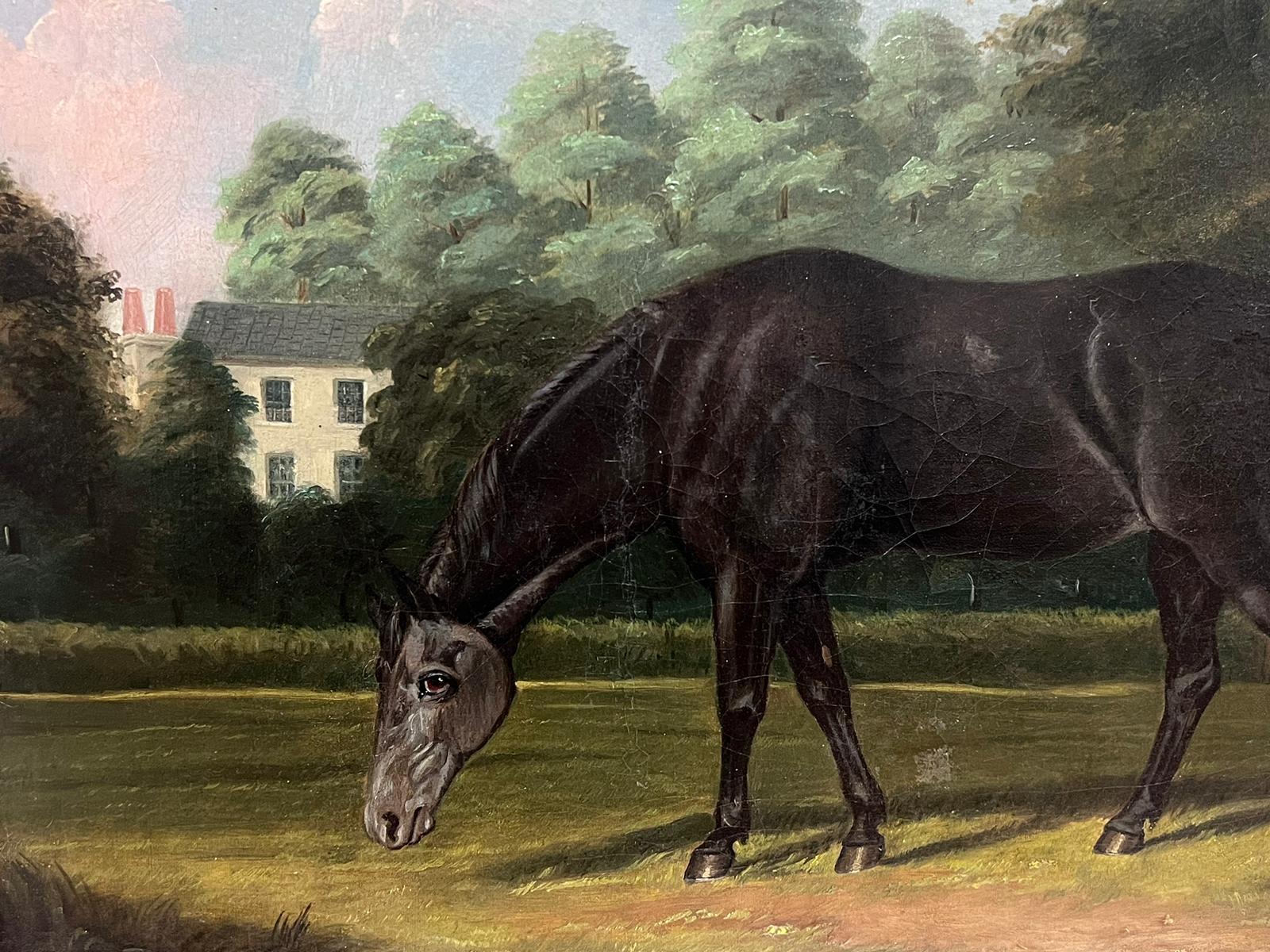 Cavallo nel paesaggio della casa di campagna
Artista francese, XIX secolo (non firmato)
olio su tela, incorniciato in una cornice di legno d'acero antico
incorniciato: 25 x 29 pollici
tavola: 20 x 24 pollici
provenienza: collezione privata,