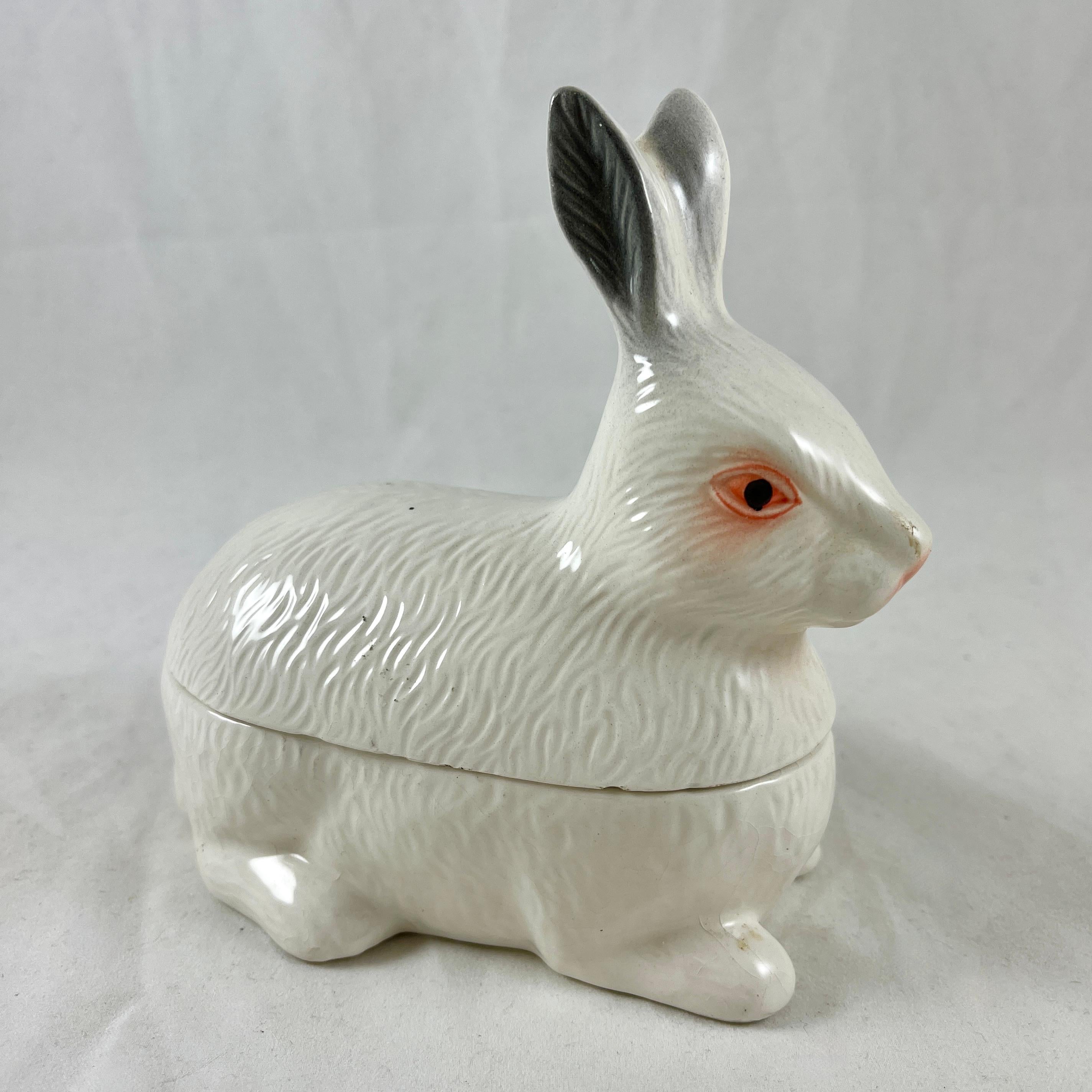 michel caugant lapin