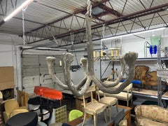 French Faux Bois Chandelier