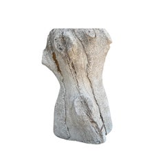 French Faux Bois Planter