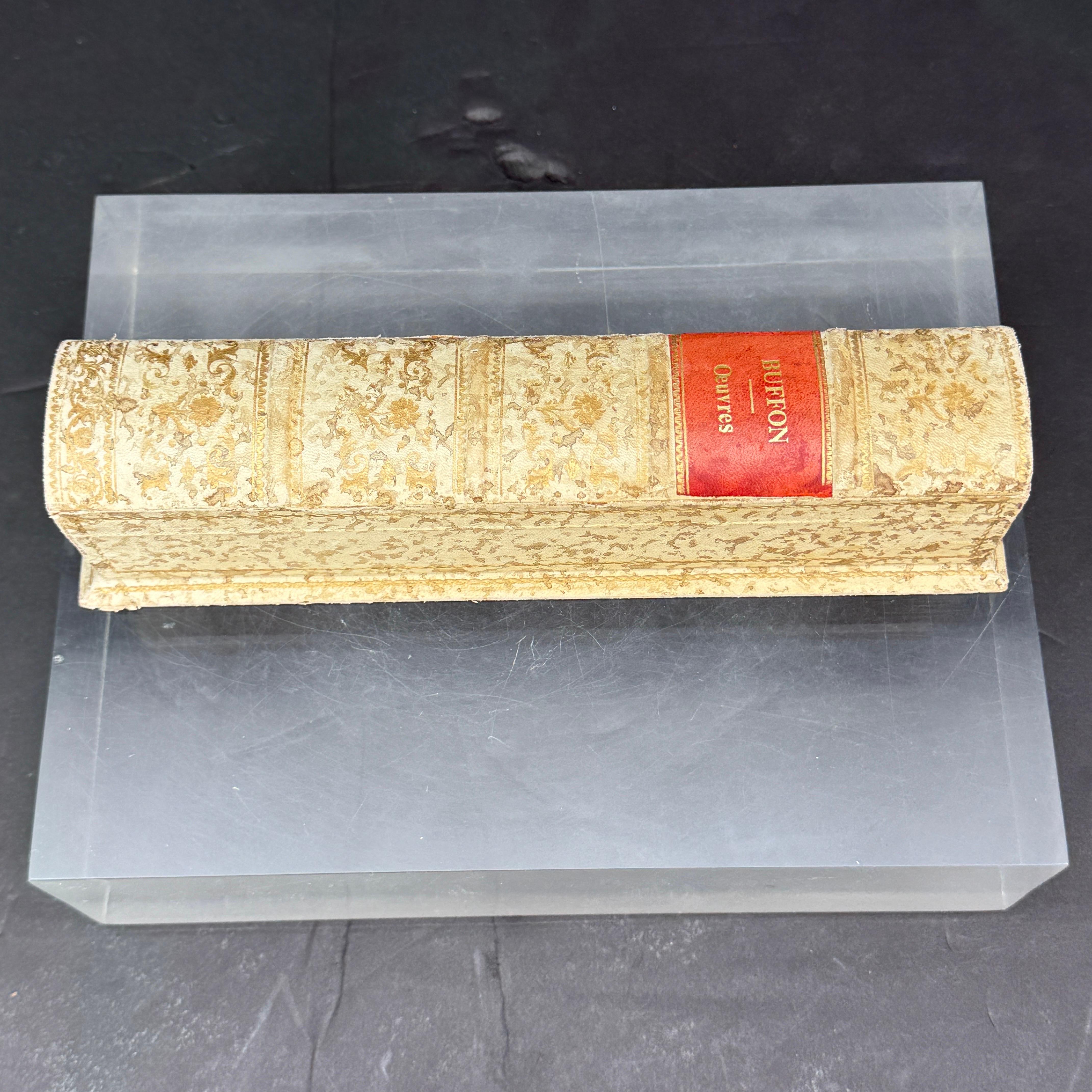 20th Century French Faux Book Gold Embossed Wood Pencil Artist Box For Sale