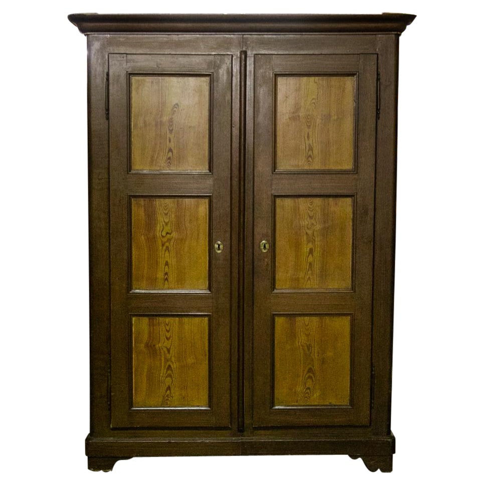 French Faux Painted Armoir For Sale