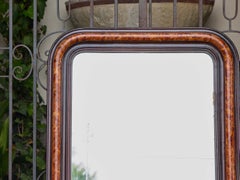 French Faux Tortoiseshell and Ebonized Mirror with Rounded Corners, circa 1920
