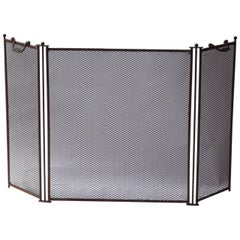 Antique French Fireplace Screen or Fire Screen