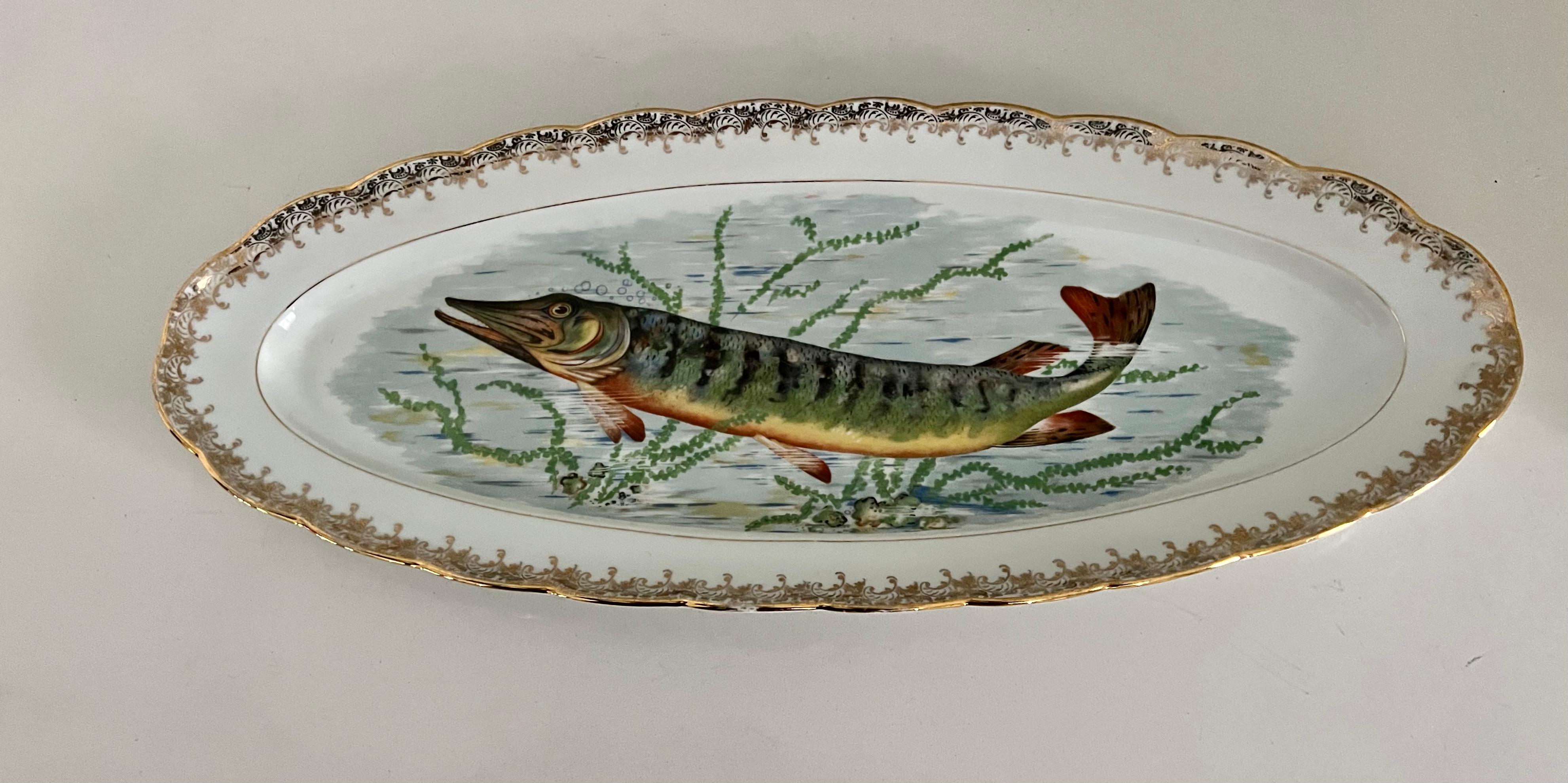 20th Century French Fish Platter with Gold Border