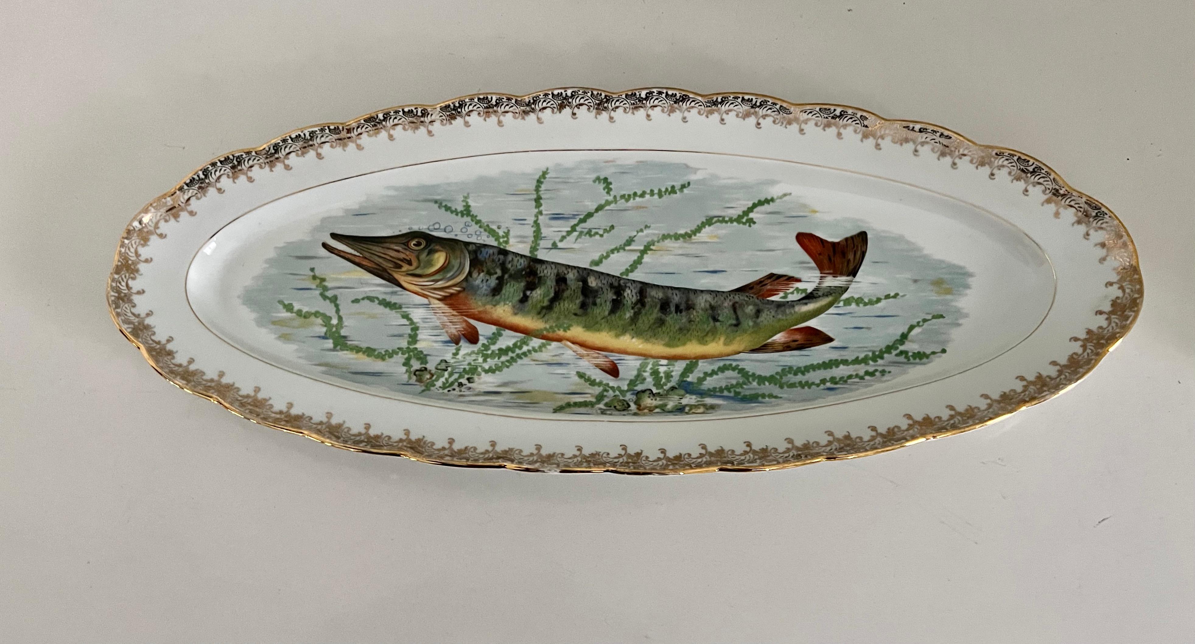 Porcelain French Fish Platter with Gold Border
