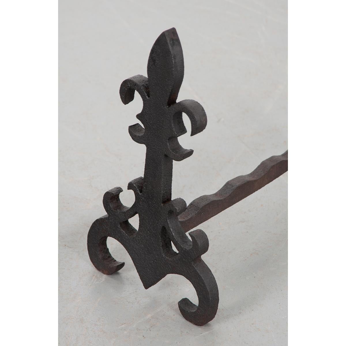Other French Fleur de Lis Andirons