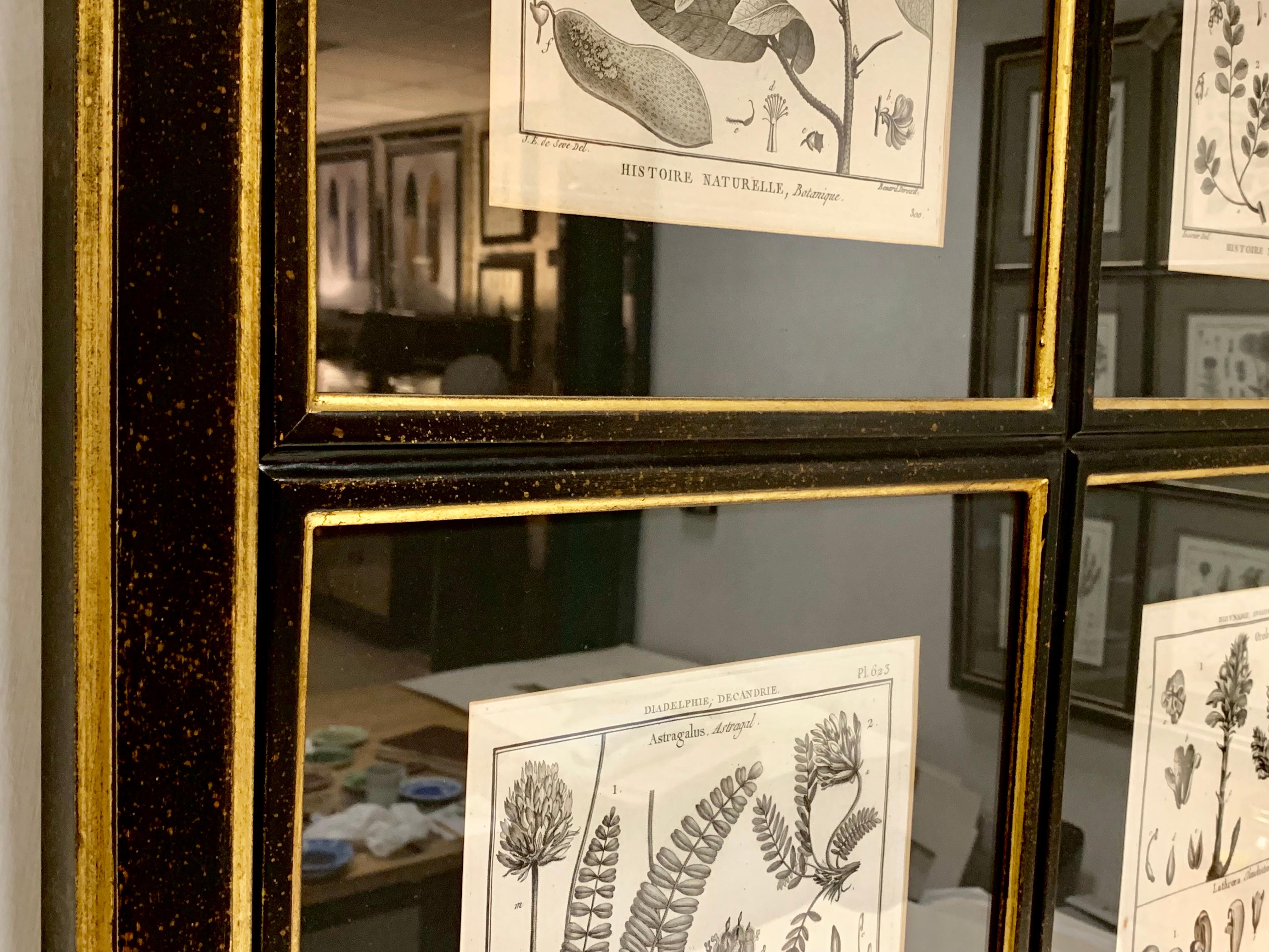 black framed botanical prints